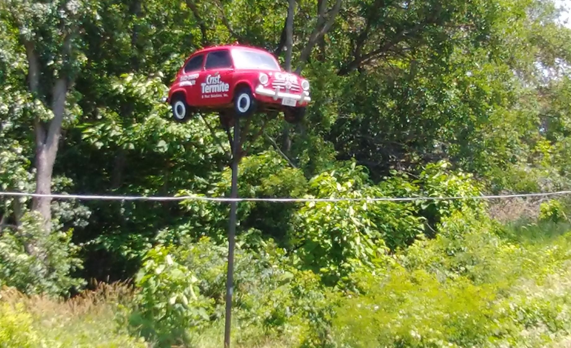 06192021 BAGcar.jpg